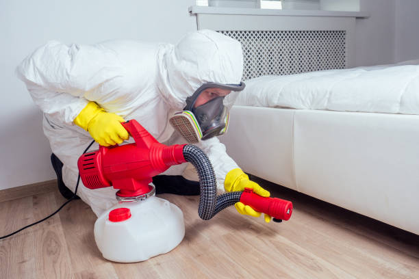 Best Residential Pest Control  in Al Creek, CO